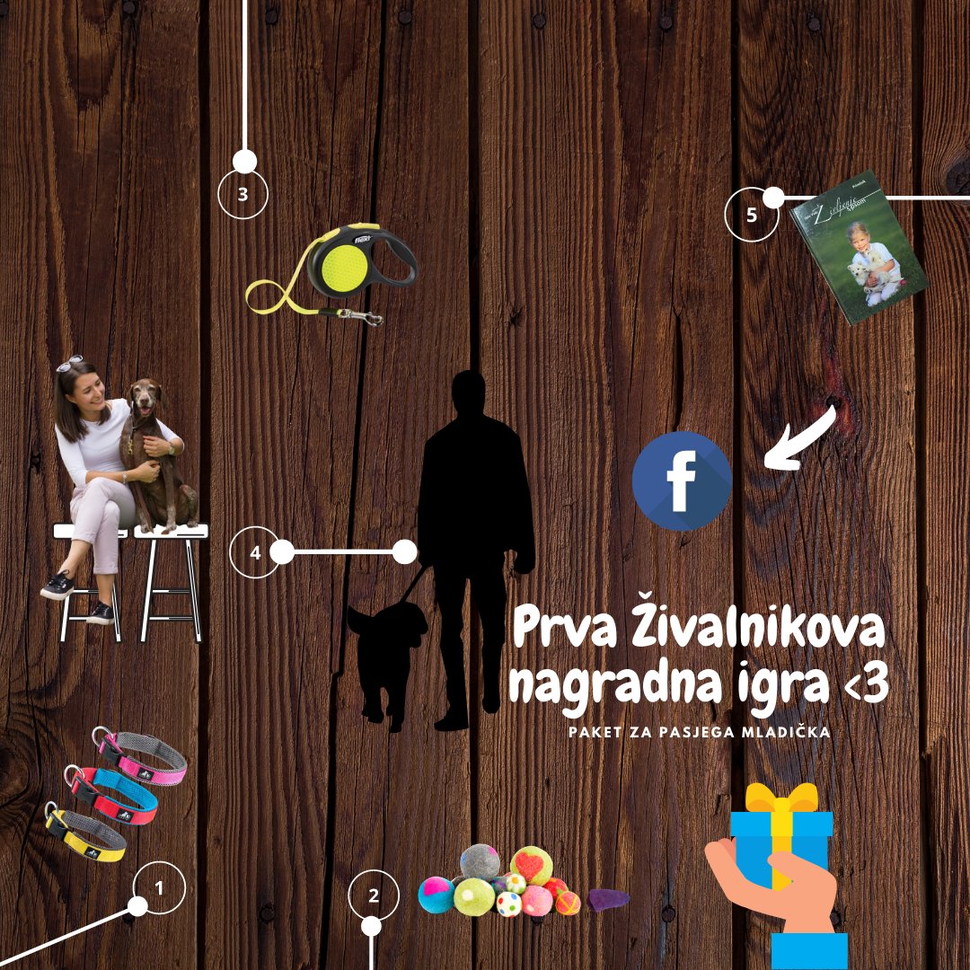 🎅🎁 [PRVA ŽIVALNIKOVA NAGRADNA IGRA] 🎁🎅

Dragi ljubitelji živali, za vas smo pripravili našo 1. nagradno IGRO, v kateri enostavno morate sodelovati. 👇

Kako sodelujete❓ Skočite na naš FB profil in sledite navodilom. 💬 

🟢 bit.ly/2LvBEQf

#Živalnik #NagradnaIgra