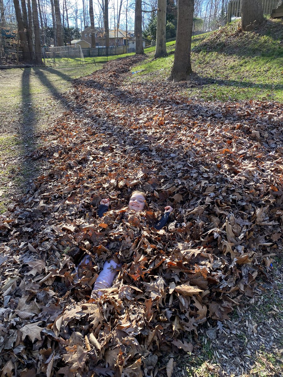 Mrs. Markey tweet media