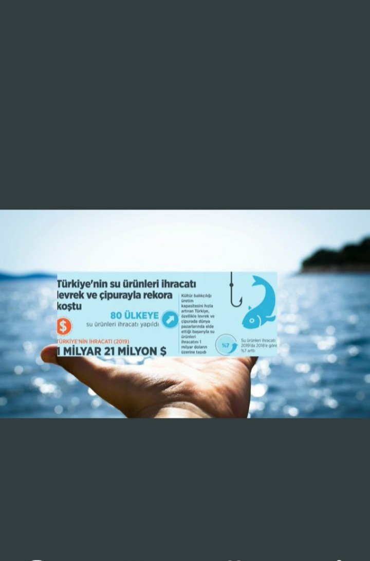 Vildan40548640's tweet photo. @rizaposaci @orhansaribalchp
@FahrettinYokus @DursunATAS38
@muharremvarli01 @yakuptas02
@abdullahdogru01 @zaferisik016
@SMinsolmaz @PrHasanKalyoncu
@yunuskilic36 @bekirpakdemirli @cbsbb

BütçedenTarıma Kadro https://t.co/dSRuh3KWLM