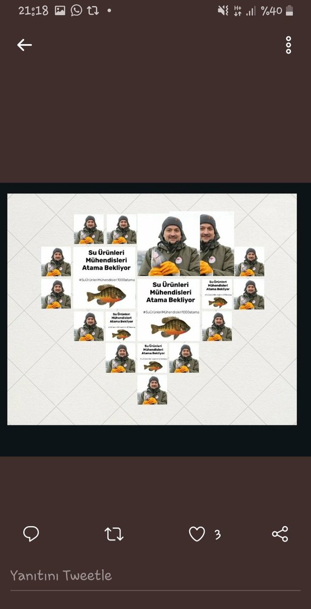 Vildan40548640's tweet photo. @rizaposaci @orhansaribalchp
@FahrettinYokus @DursunATAS38
@muharremvarli01 @yakuptas02
@abdullahdogru01 @zaferisik016
@SMinsolmaz @PrHasanKalyoncu
@yunuskilic36 @bekirpakdemirli @cbsbb

BütçedenTarıma Kadro https://t.co/XdgI8NGmFm