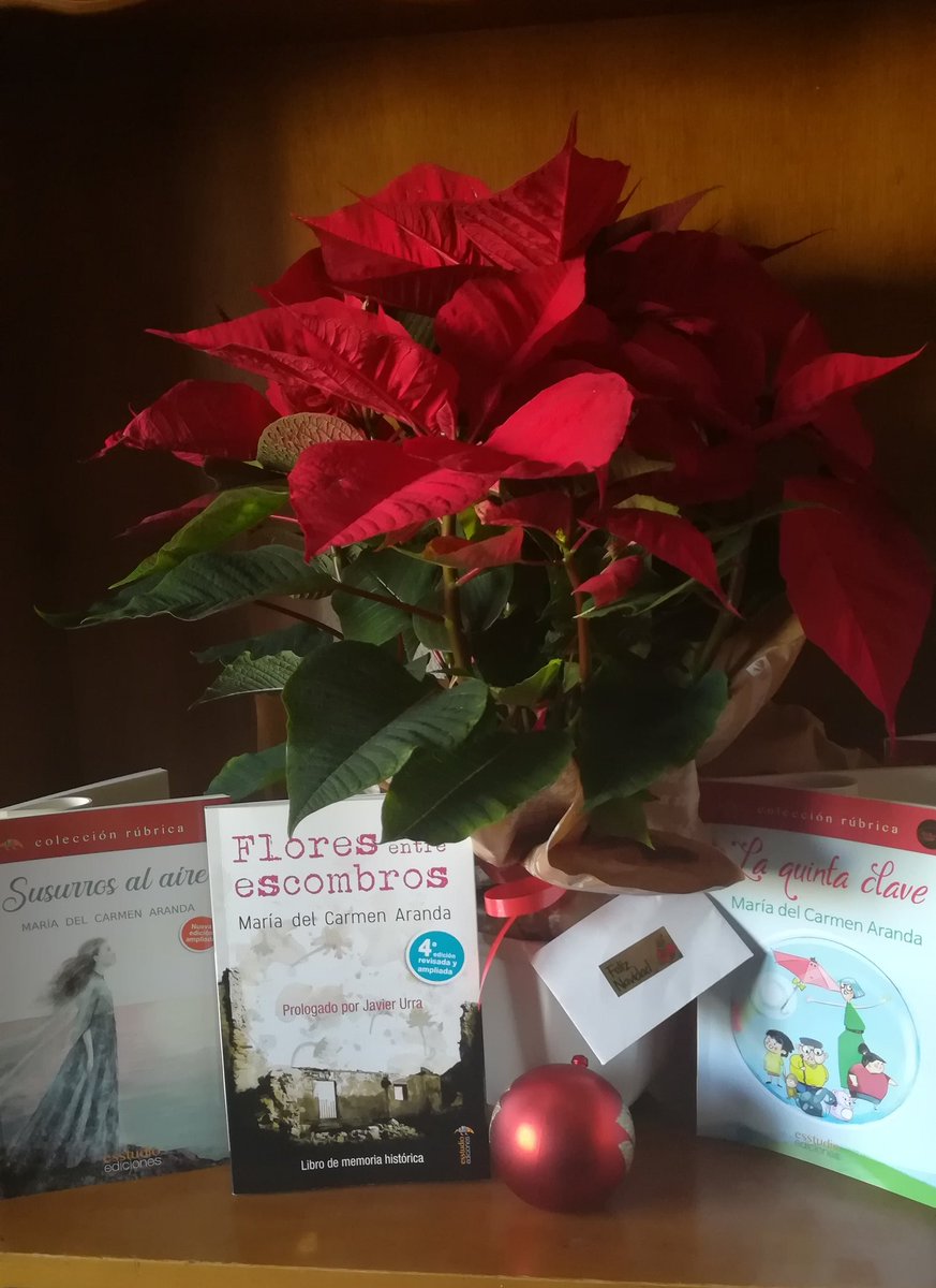 María  Carmen Aranda (@mcarand) on Twitter photo 