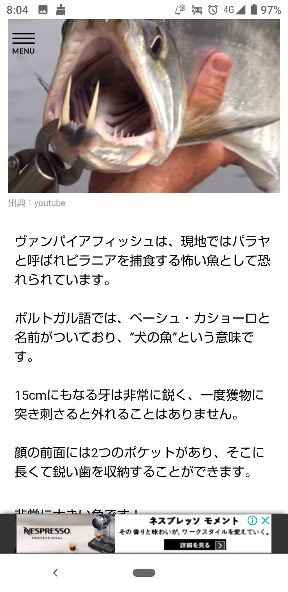 柚留木 やっぱ牙下2本は多いな タマカイちゃんとかハタ系も好き ゴライアスグルーパーとか てかジャックこれでええんか 柚留木 やっぱ牙下2本は多いな タマカイちゃんとかハタ系も好き ゴライアスグルーパーとか てかジャックこれでええんか