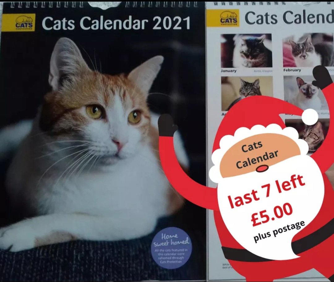 Cats Protection tweet media