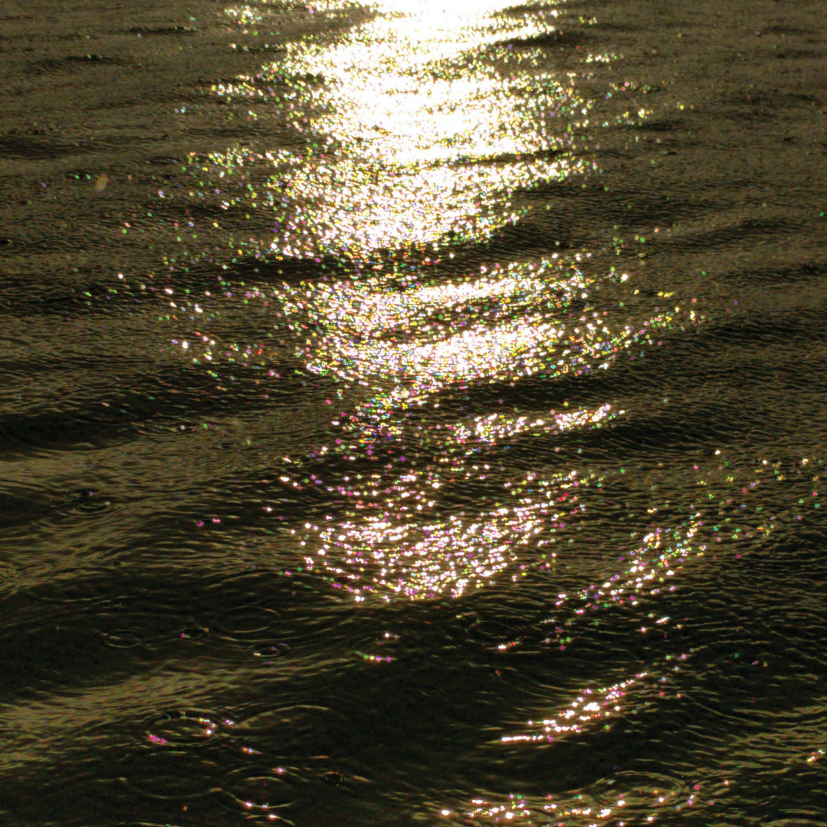 #BestOf2020 #BillMeyer's top jazz/improv LPs
#PaulLytton/@nate_wooley 
@tashiiidorjiii/#TylerDamon
#IrreversibleEntanglements
#SandyEwen
#DuoBaarsBuis
#McPhee/#Rempis/#Reid/#Lopez/#NilssenLove
<a href="/EricRevisBass/">Eric Revis</a>
<a href="/lukeostewart/">Luke Stewart</a>
#Butcher/#Lehn/#Shipp
<a href="/ithumbscrew/">thumbscrew</a>
magnetmagazine.com/2020/12/15/bes…