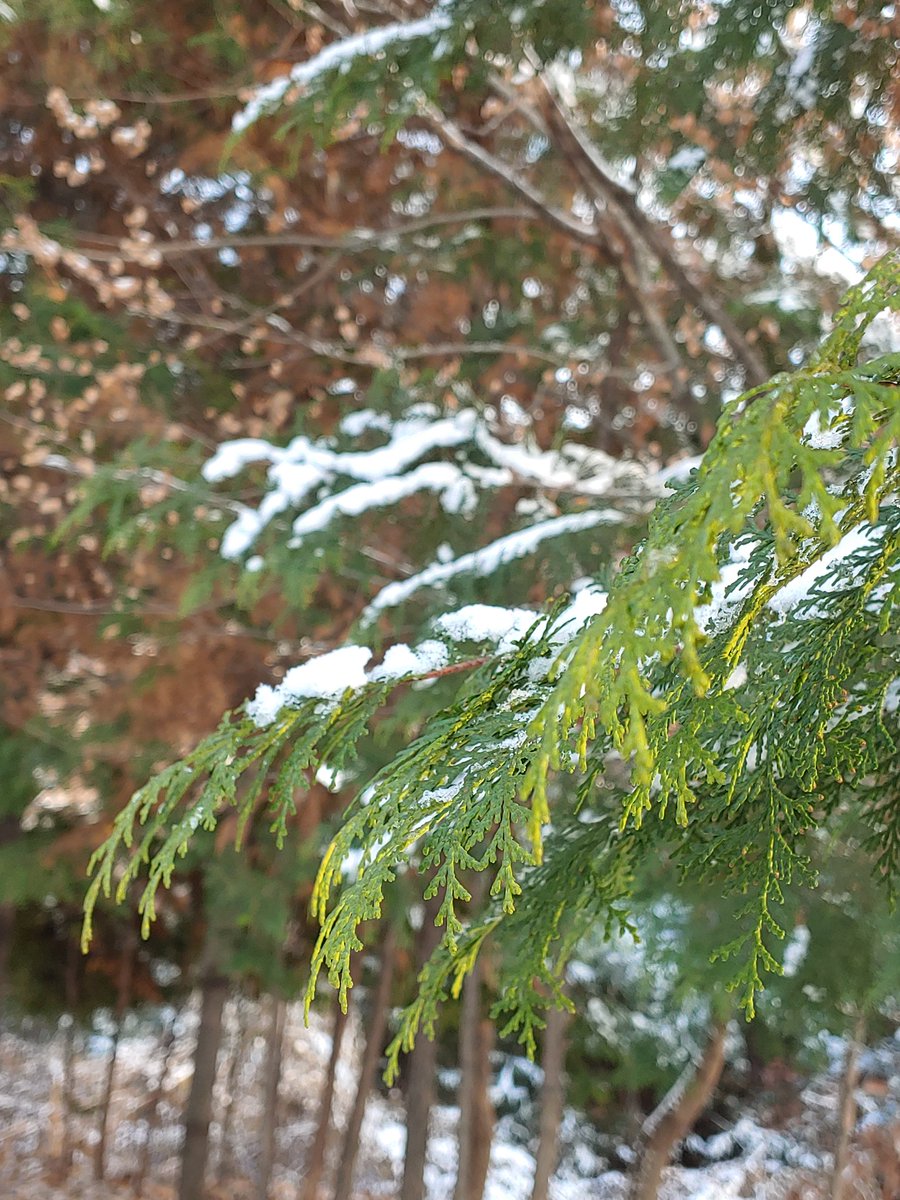 #Сөүл #анхныцас