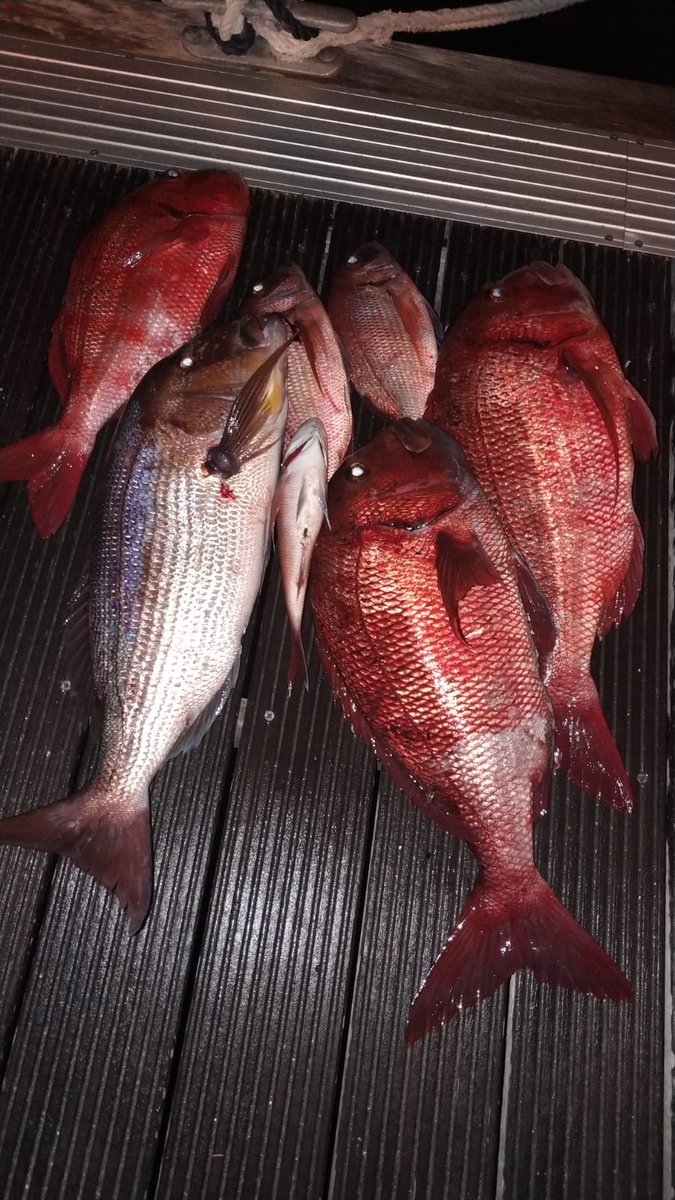 pescamed's tweet photo. Tablas solunares https://t.co/nXAZrfwTzk #pesca #pm2 https://t.co/e67EvXgp8H