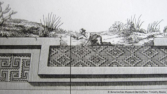 His 2 volume 'Political Essay on the Kingdom of New Spain' observed the relationship between environment and society in  #Mexico and is considered to be the first proper regional geography (image: AvonH on the ruins of the Palace of Mitla in Mexico's Oaxaca province) /9