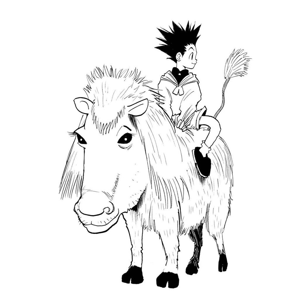 hunterxhakusho tweet media
