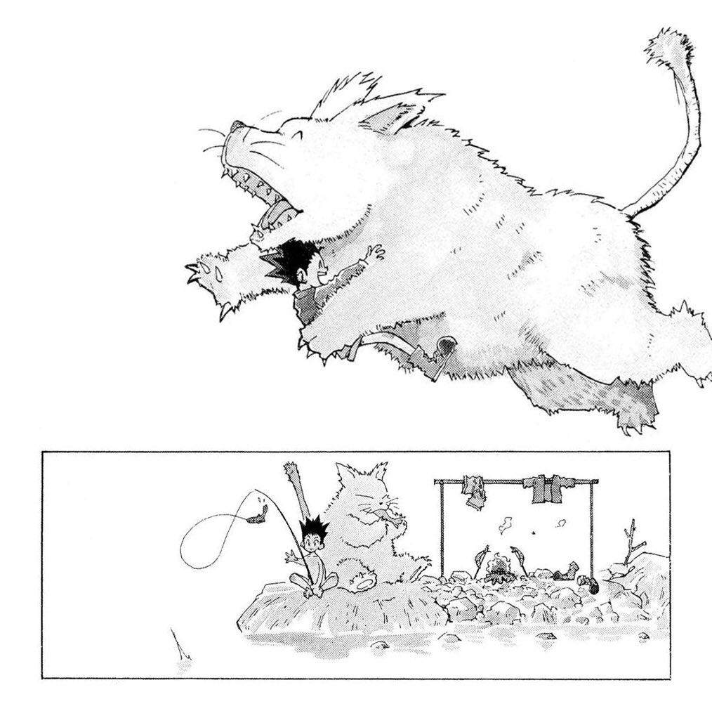 hunterxhakusho tweet media