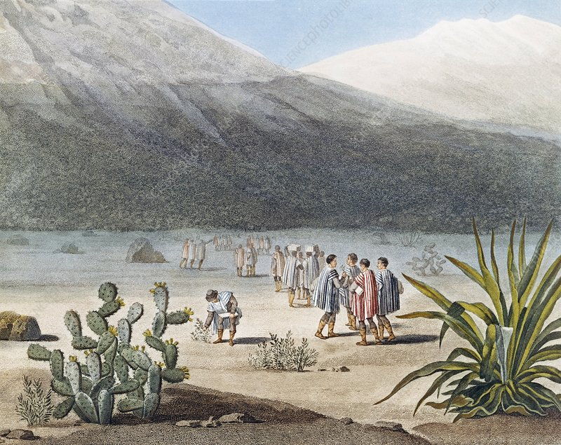 In addition to writing about natural wonders, Humboldt was a  #humanitarian who denounced the horrors of  #slavery, the oppression of Indigenous peoples, and the injustices of the  #colonial system /10