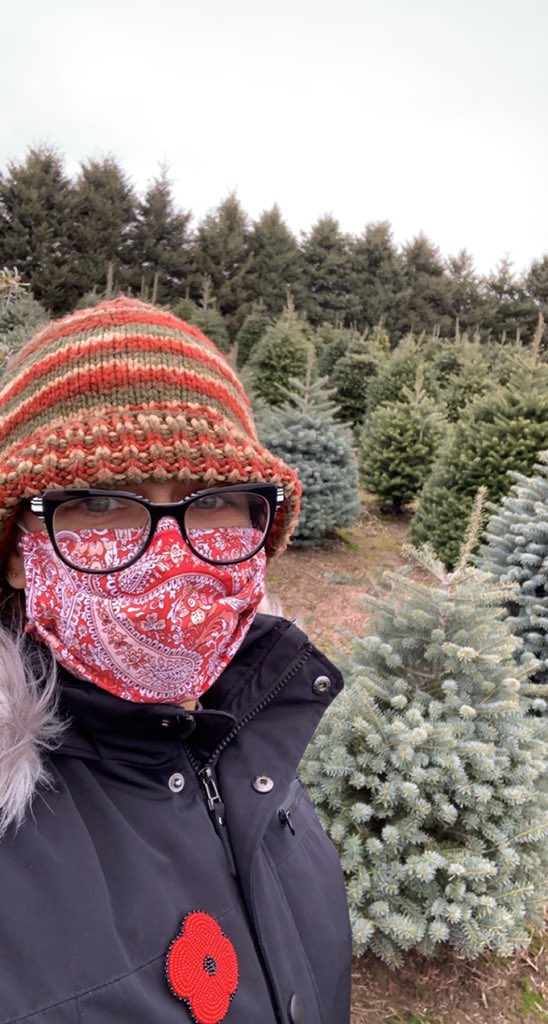 p782203's tweet image. Decided to go for the 2020ist tree we could find this year.  This lonely fella is coming home with us to get all fancy for the holidays!  🎄🎄❤️❤️  #HappyChristmas #2020 #CharlieBrownTree #TreeHunt2020