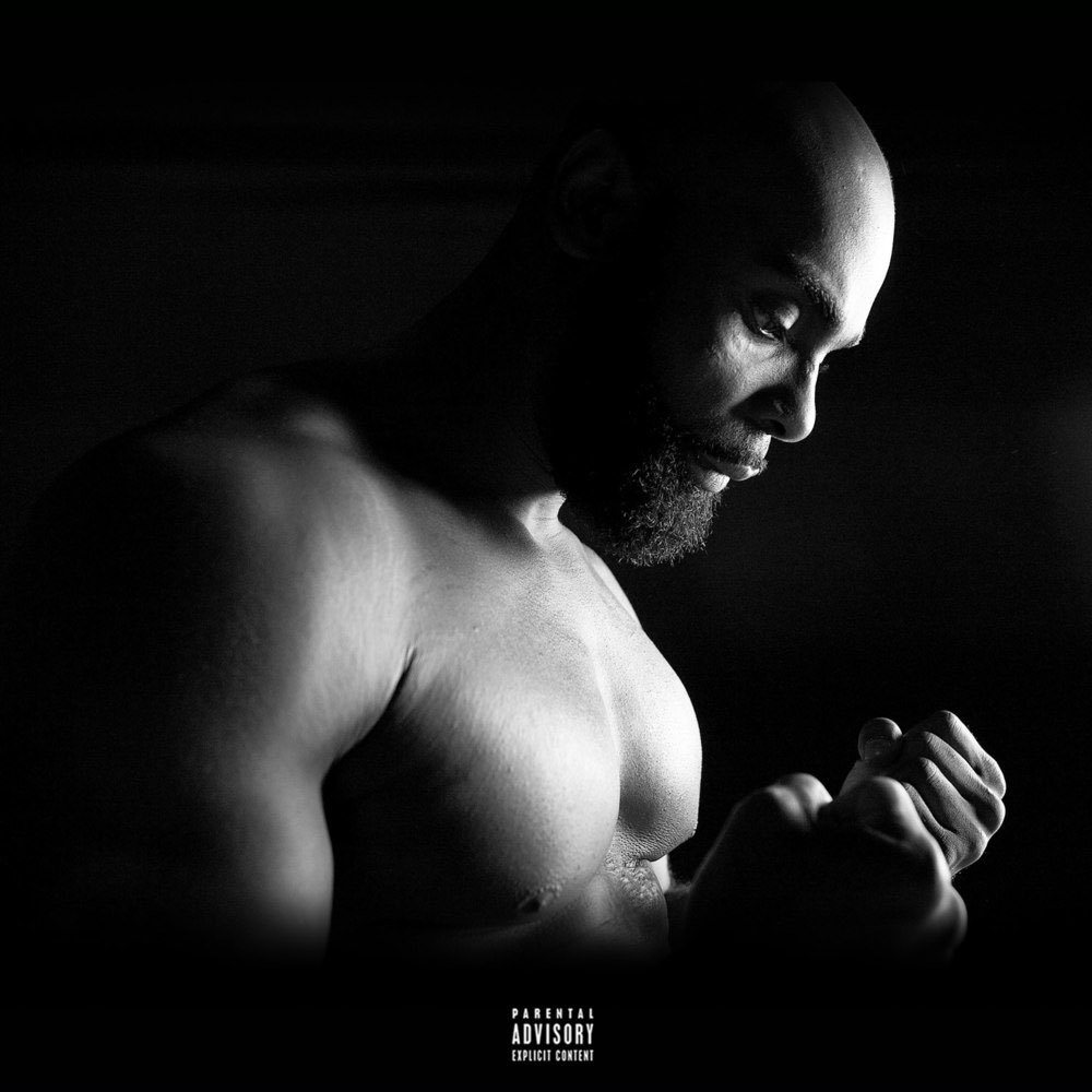 Mais le problème lorsque l’on sort un 1er album d’une telle portée est l’attentez suscitée ensuite! Kaaris n’arrivera pas à sortir un album qui surpasse ce premier coup de maître!!