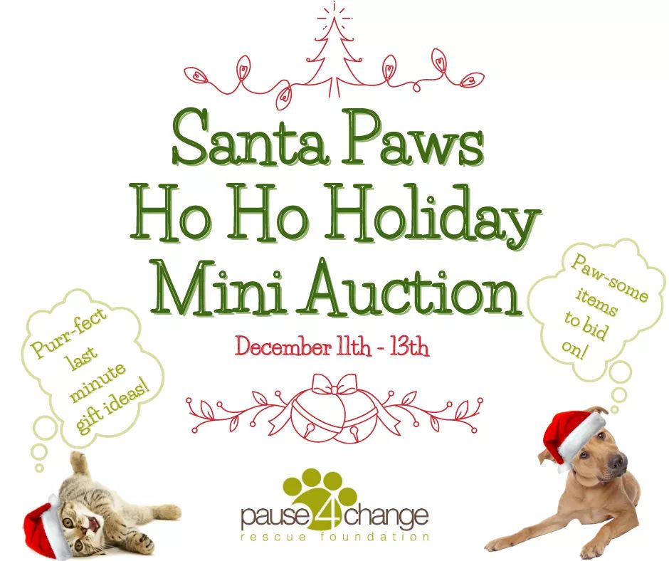 Pause4Change tweet media