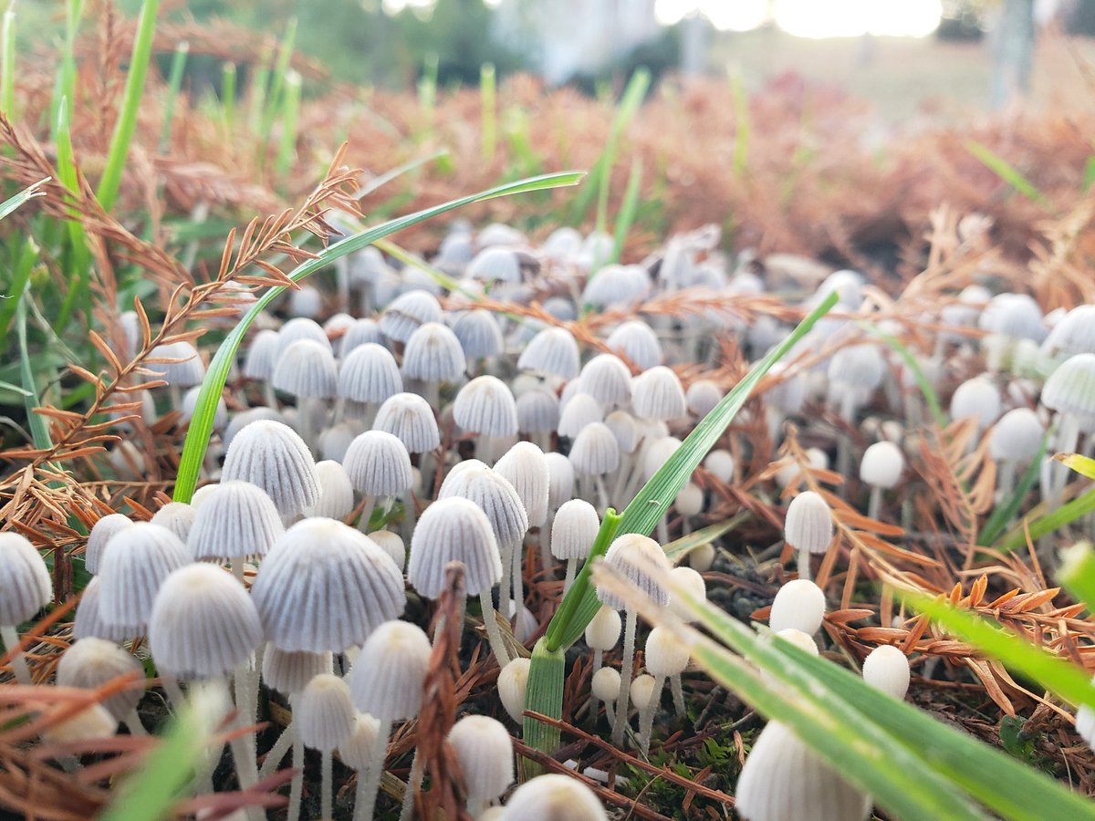 Some of my fav finds over the last 6 months or so