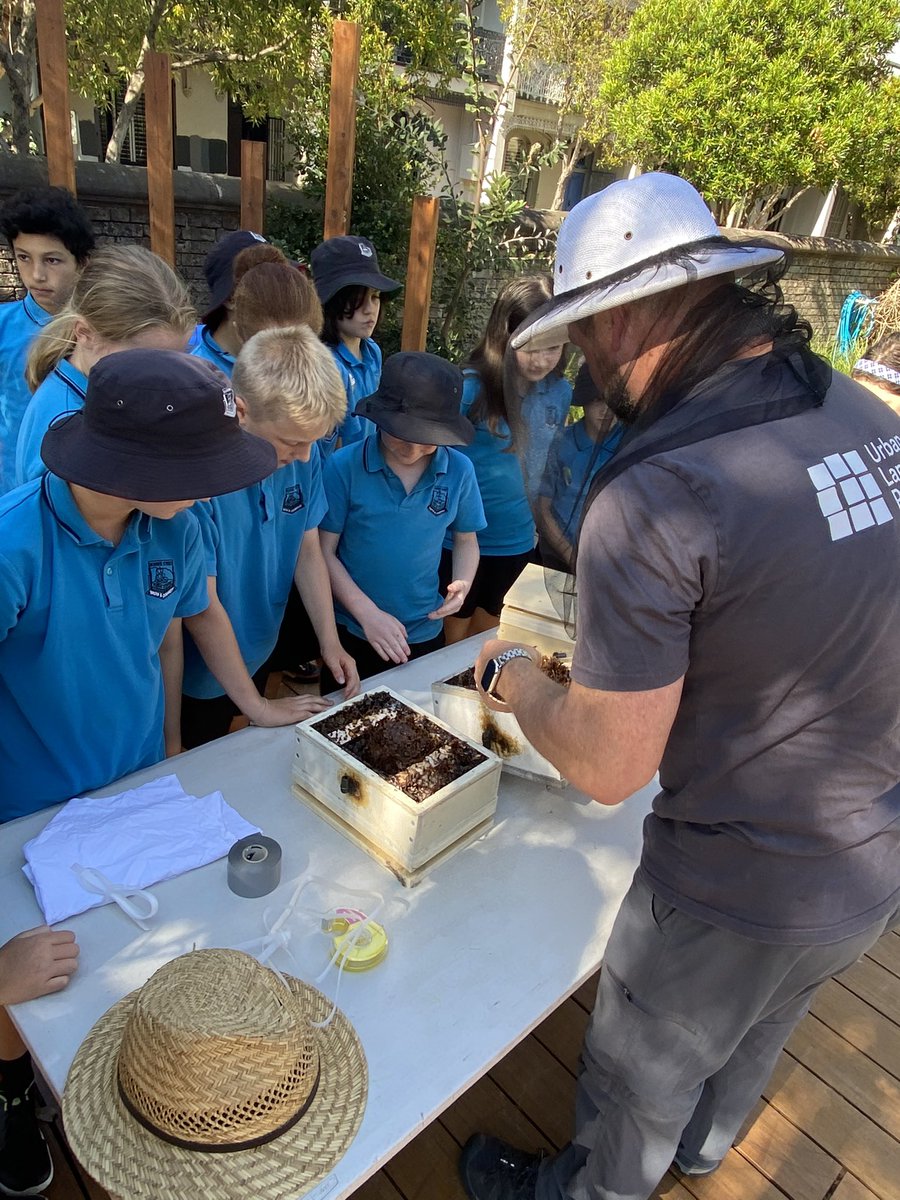ULProjects's tweet image. 🐝 🐝 🐝 last week we held a #Bee workshop at Bourke Street Public School with some very curious and engaged minds!