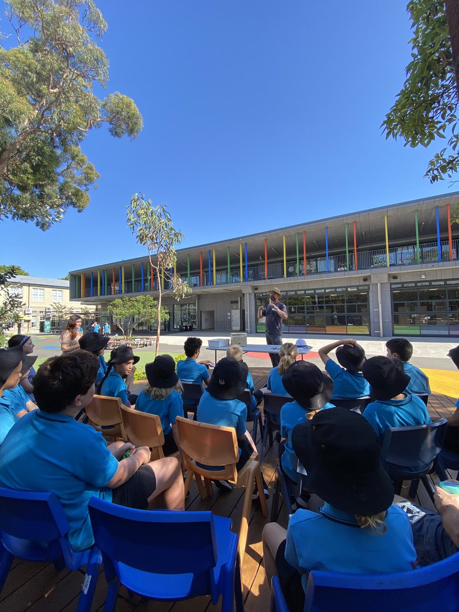 ULProjects's tweet image. 🐝 🐝 🐝 last week we held a #Bee workshop at Bourke Street Public School with some very curious and engaged minds!