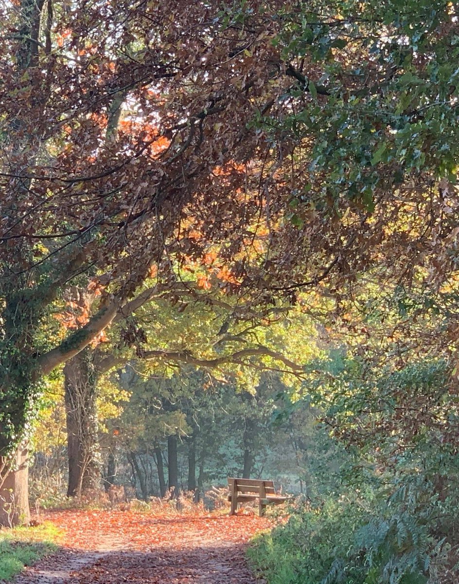 Roos Vonk على تويتر Ik Dacht Dat We Vaak Slecht Weer Hadden Dit Najaar Maar Toen Ik Vanmiddag Mijn Foto S Ging Ordenen Viel Dat Toch Erg Mee Wat Een Plaatjes He Https T Co Ysuhv0mcwa