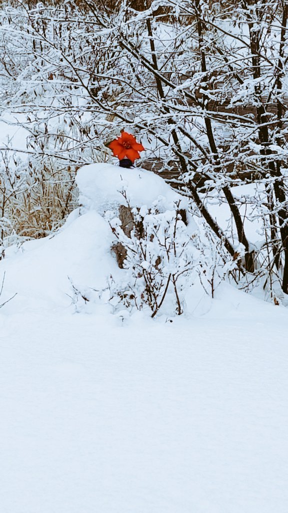 Hank_Root's tweet photo. Almost four months. #fuckCancer #xmas #miss22 https://t.co/gFgj04IPOx