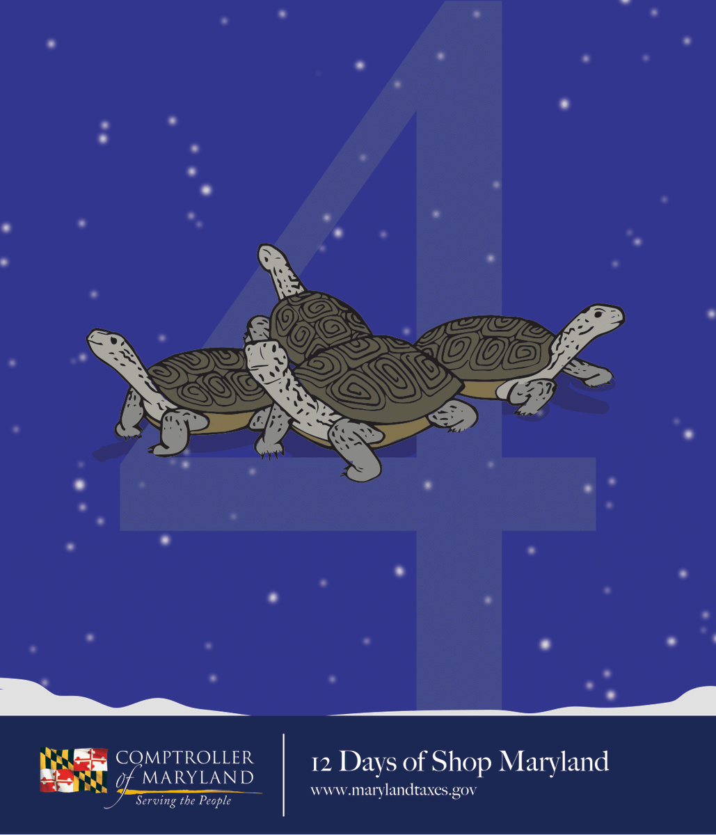MDComptroller's tweet photo. We'd be remiss if we didn't mention our tough diamondback terrapins on Day 4 of #12DaysofShopMaryland. Gift some @Univ_System_MD apparel for a loved one, or donate to @PreservationMD to support their restoration of the Bay, home to many beloved terps: https://t.co/1hulaxLdz9 https://t.co/X0shlqu3NK