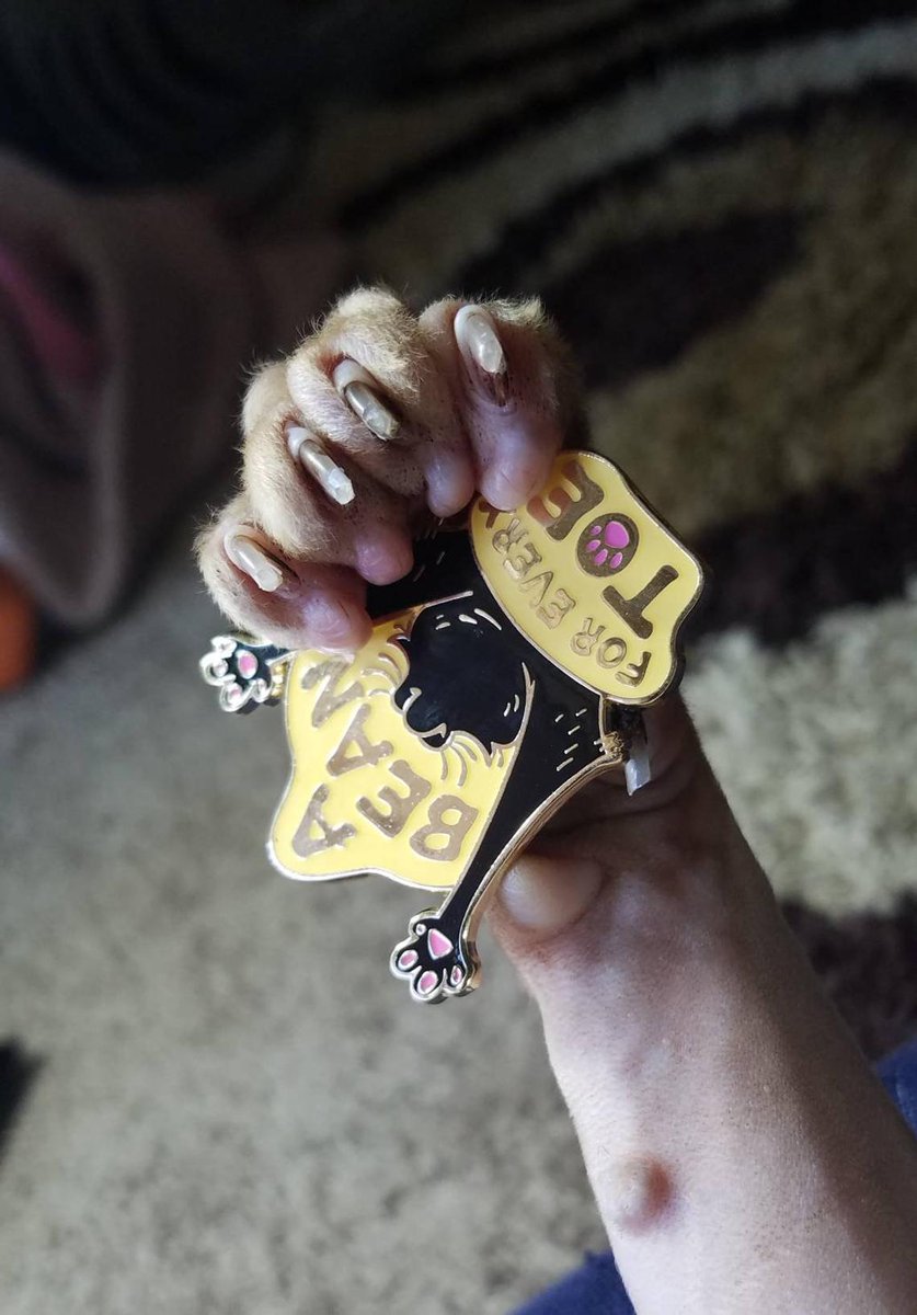 My sphynxes get their nails cut pretty dang SHORT almost to the quick since they love to walk on my shoulders and crawl up my back. This was some freshly cut Archimedes nails, cut extra short as it was summer and he was a shoulder kitty. It's quite short.