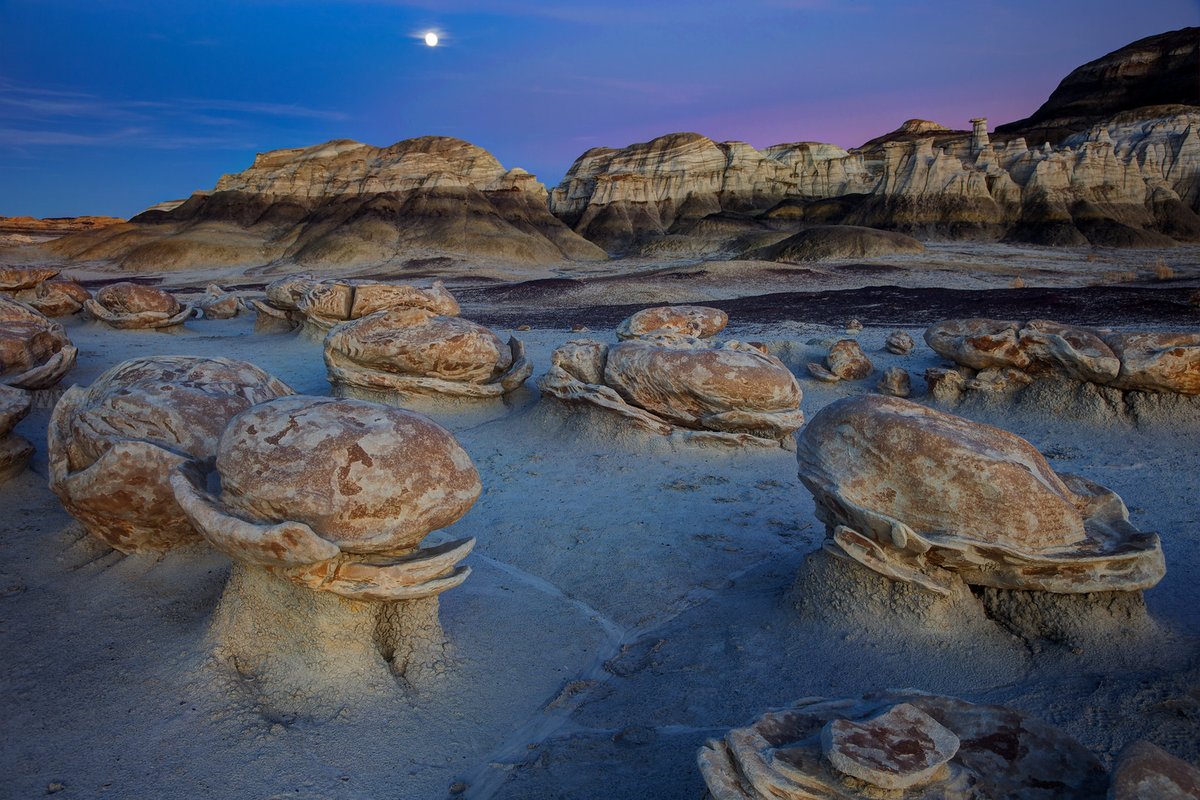 wizum's tweet image. If you are looking for a unique gift to give this year you should head over to my print store for custom prints. 15% off on ALL prints till end of 2020.  #photography #printshop
#printstore
wizumprints.com