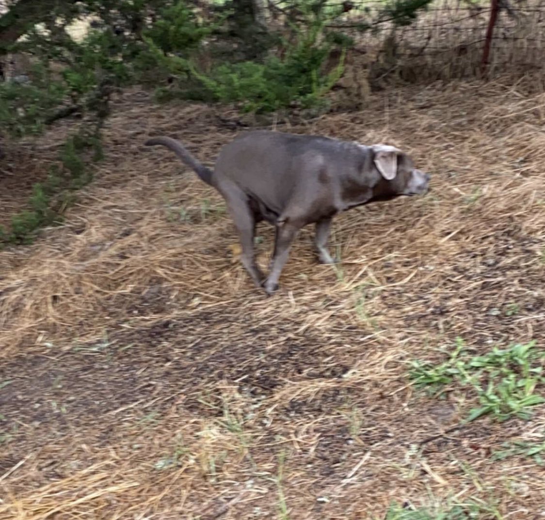 dogg_energy's tweet photo. Came out the mud like some cleats https://t.co/7Pp00zuHy3
