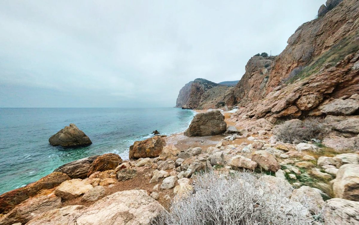 dnppmos's tweet image. 