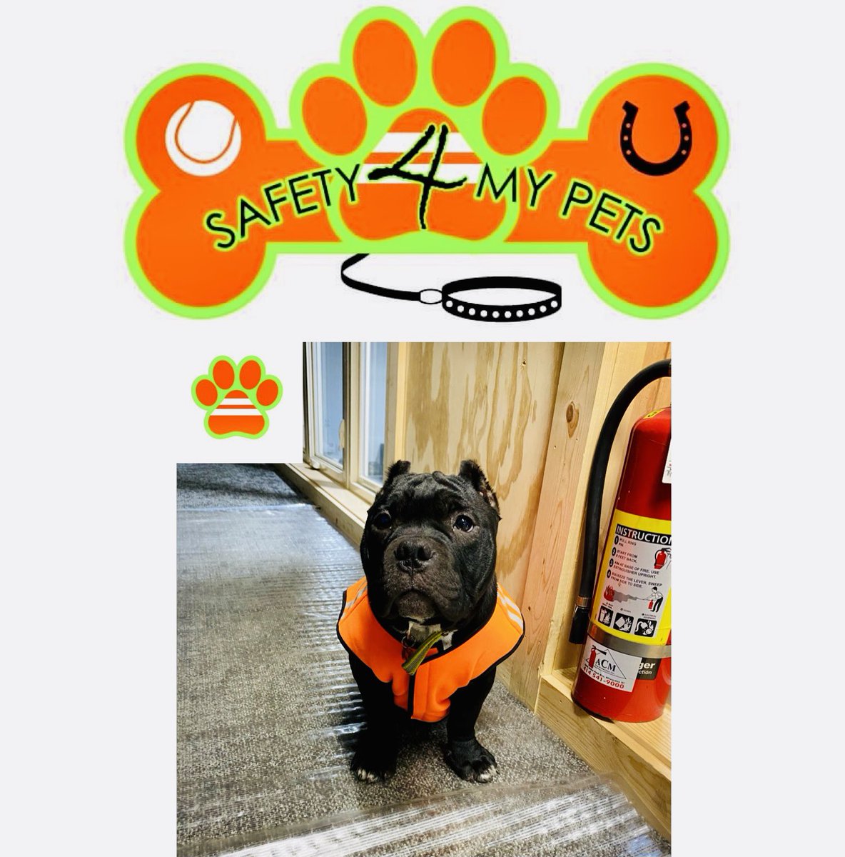 📢Announcing Safety4MyPets🐾 
🦺High Visibility clothing for our fur babies pets are a major part of our lives and also in the Towing and Trucking industry many have yard dogs that needs to be seen. Pre-Orders launching soon!!!@TheSharkDaymond <a href="/robertherjavec/">Robert Herjavec</a> <a href="/Petco/">Petco</a> <a href="/PetSmart/">PetSmart</a>