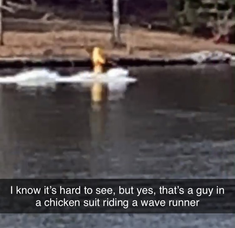 kimt205's tweet photo. As if 2020 wasn’t weird enough, there is a man in a chicken suit riding a wave runner on the lake today. #FastestChickenInTheSouth https://t.co/3AyzO4VsCZ