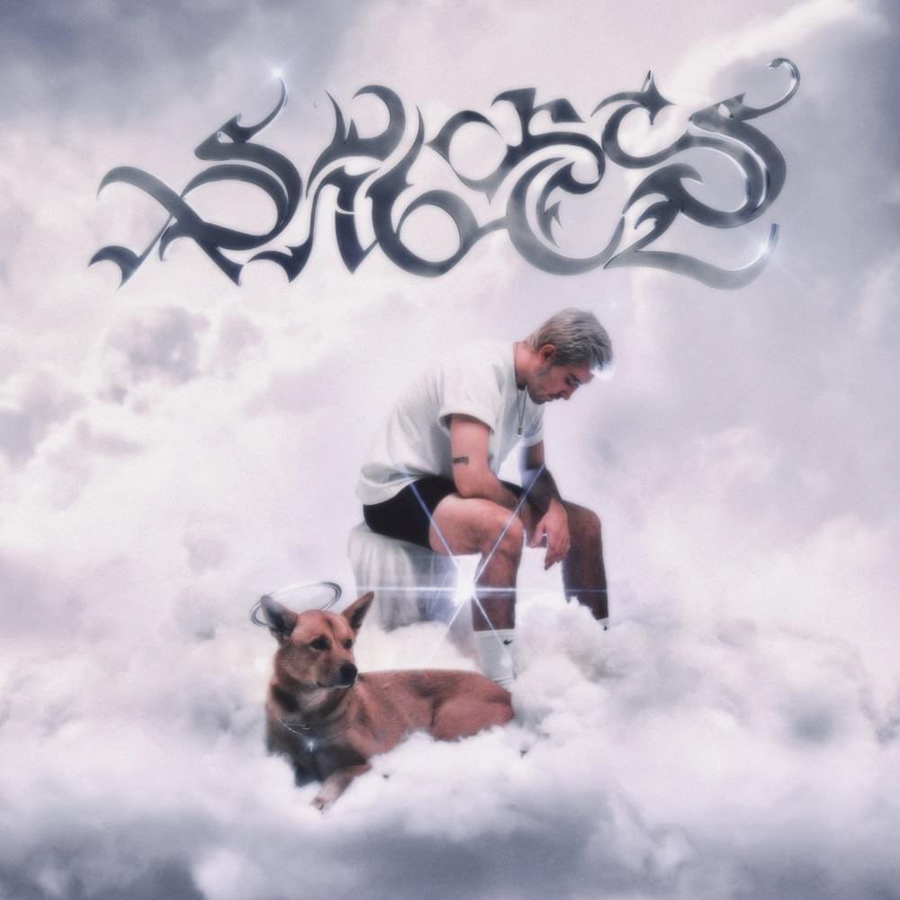 paige_razor's tweet photo. Happy 1 year anniversary to one of the greatest albums of all time, Sportsangel by @robokidmusic 🤍🤍🤍🤍🤍🤍🤍🤍 I have literally been listening to this album all year 🤍🤍🤍🤍🤍🤍 #sportsangel #robokid https://t.co/BM1lpzBmW9
