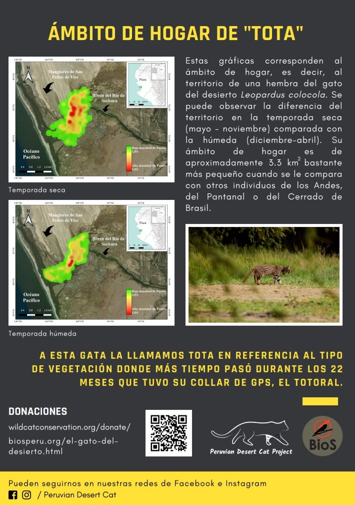 alvaro_garcia_o's tweet photo. This is the #homerange of Tota, the female #pampascat that gave us data for almost 2 years. She just moved aprox 3.3km2. #PeruvianDesertCat @CindyM_Hurtado https://t.co/S121PwfA07