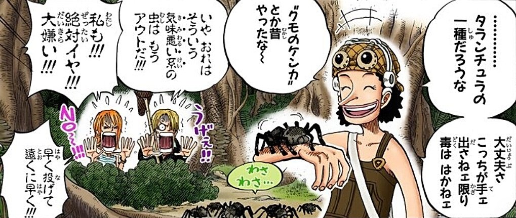 まな 在 Twitter 上 ブラックマリアは遊女だけに 女郎蜘蛛 がモデルなのかな 気味悪い系の虫 クモ と 蹴れない女性 という サンジの最も苦手とするものを兼ね備えているブラックマリア この苦境に助っ人としてやってくる人物はロビンが有力 今週の