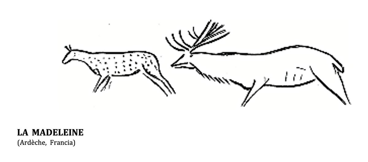 El hecho de que la cierva carezca de cornamentas  nos permite distinguirla del ciervo, rasgo que conocían bien los paleolíticos. Este dimorfismo sexual acentuado hace del Cervus elaphus la única especie en todo el arte paleolítico en la que podamos tener en cuenta su sexo 