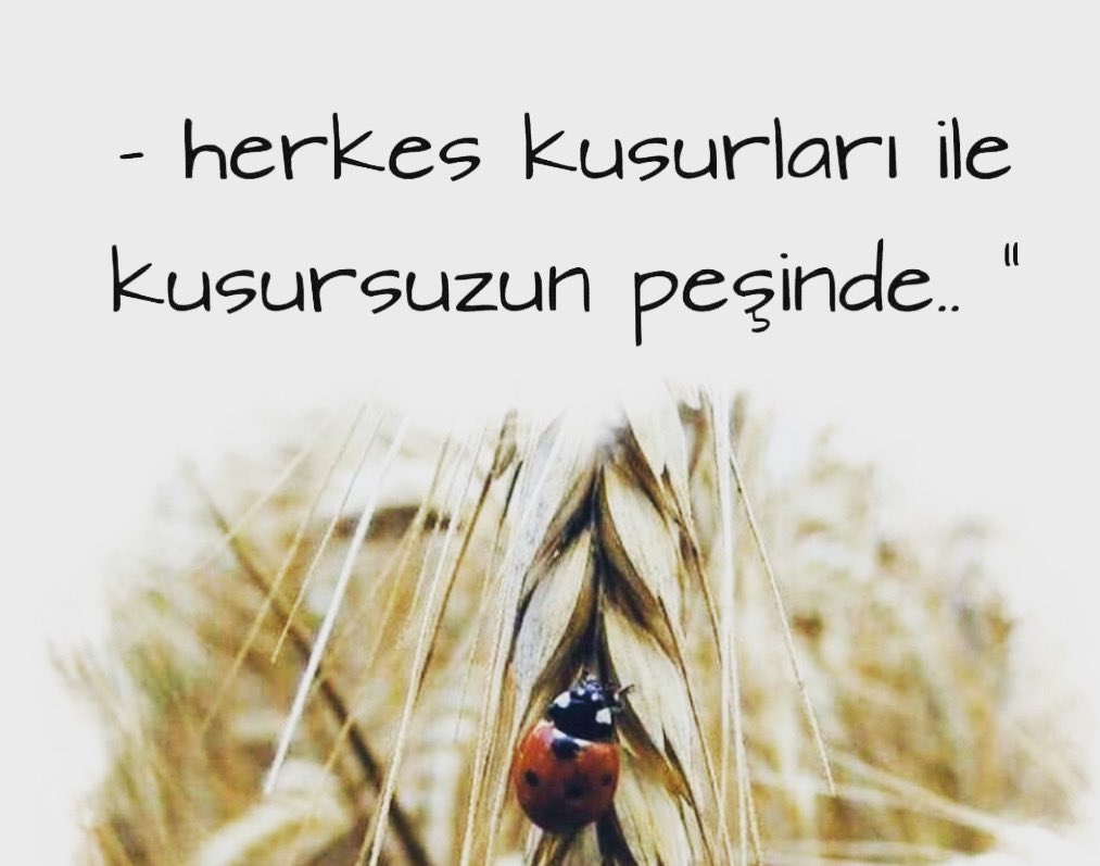 Nefes (@nefesdiyin) on Twitter photo 