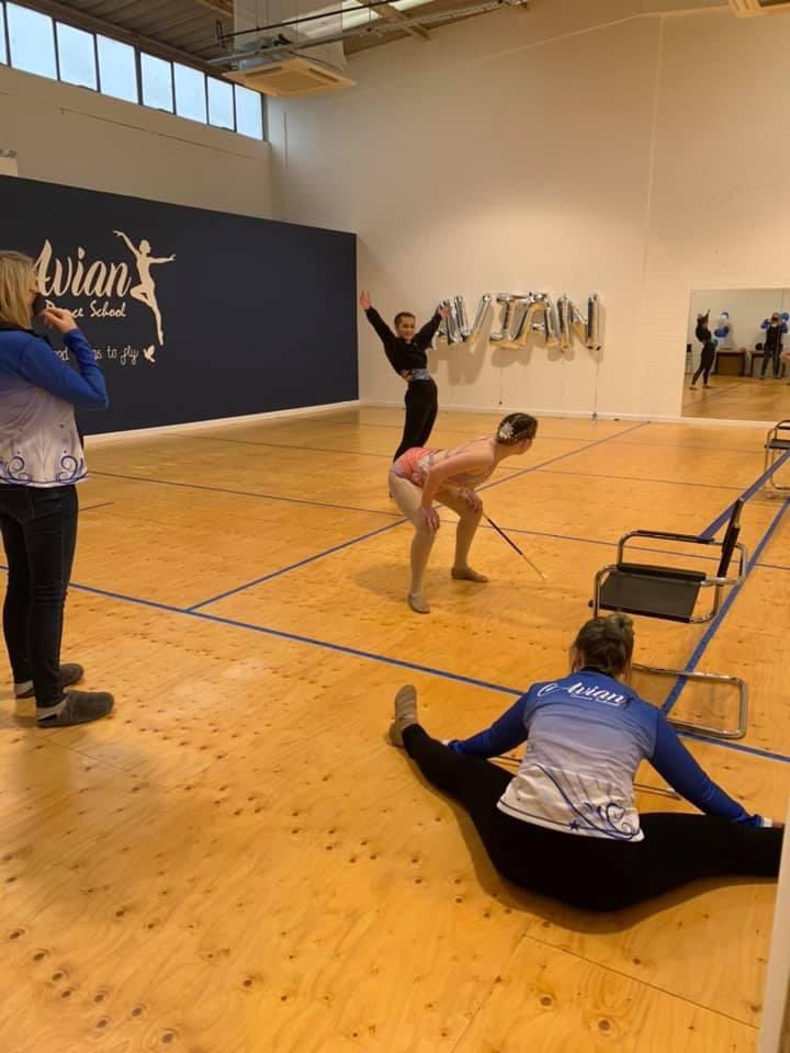 Avian Dance School tweet media