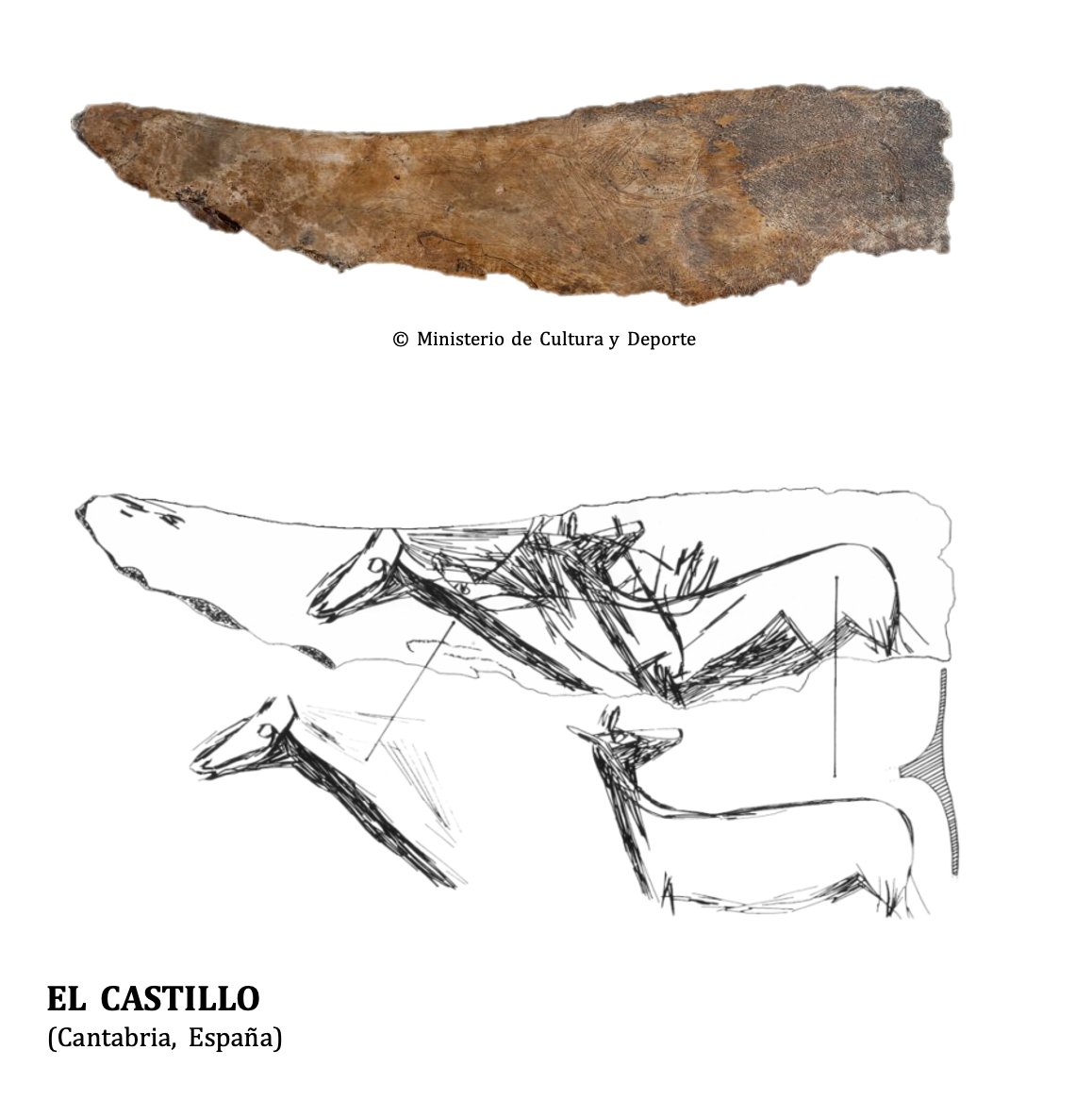 En el Magdaleniense inferior se representaron ciervas con un despiece en el cuello y maxilar  mediante la incisión múltiple: una concatenación de trazos de una única pasada del útil, dispuestos en bandas con el fin de representar un relleno convencional (Rivero, 2017)