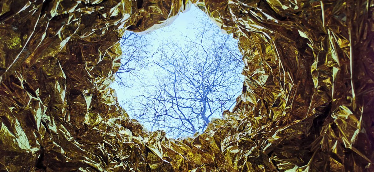 Ander Gortazar Balerdi tweet media