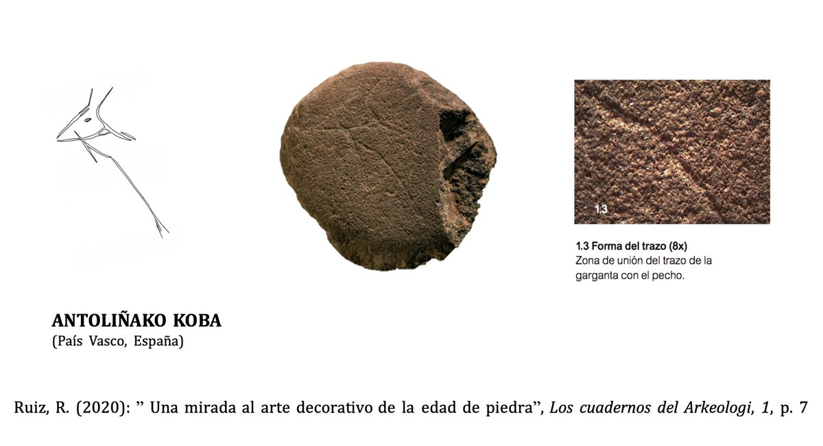 Una de las piezas de arte mueble más importantes  de todo el arte paleolítico es la cierva trilineal encontrada en Antoliñako Koba en niveles gravetienses , gracias a la cual se ha podido atribuir dicho convencionalismo a esta cronología (29.000-22.000 BP) 
