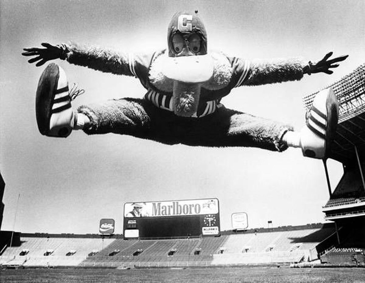GO_CLE_DJ's tweet photo. I was today years old when I learned the Cleveland Indians had "The Baseball Bug" as a mascot in 1980 and 1981. I need to find the guy who owns it and wear it just once. #BringBackBug @KenCarman https://t.co/YRjoXVMoZ6