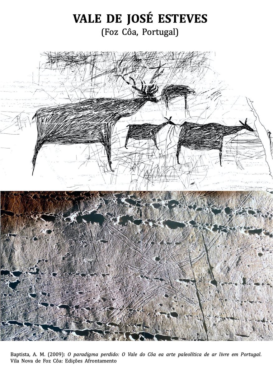 En el interior de la península ibérica esta especie también es profusamente representada, tanto en estaciones al aire libre (Siega Verde, Domingo García o Foz Côa) como en cuevas (El Niño o La Griega)  bajo una gran variabilidad técnica  (piqueteado, incisión, pintura)