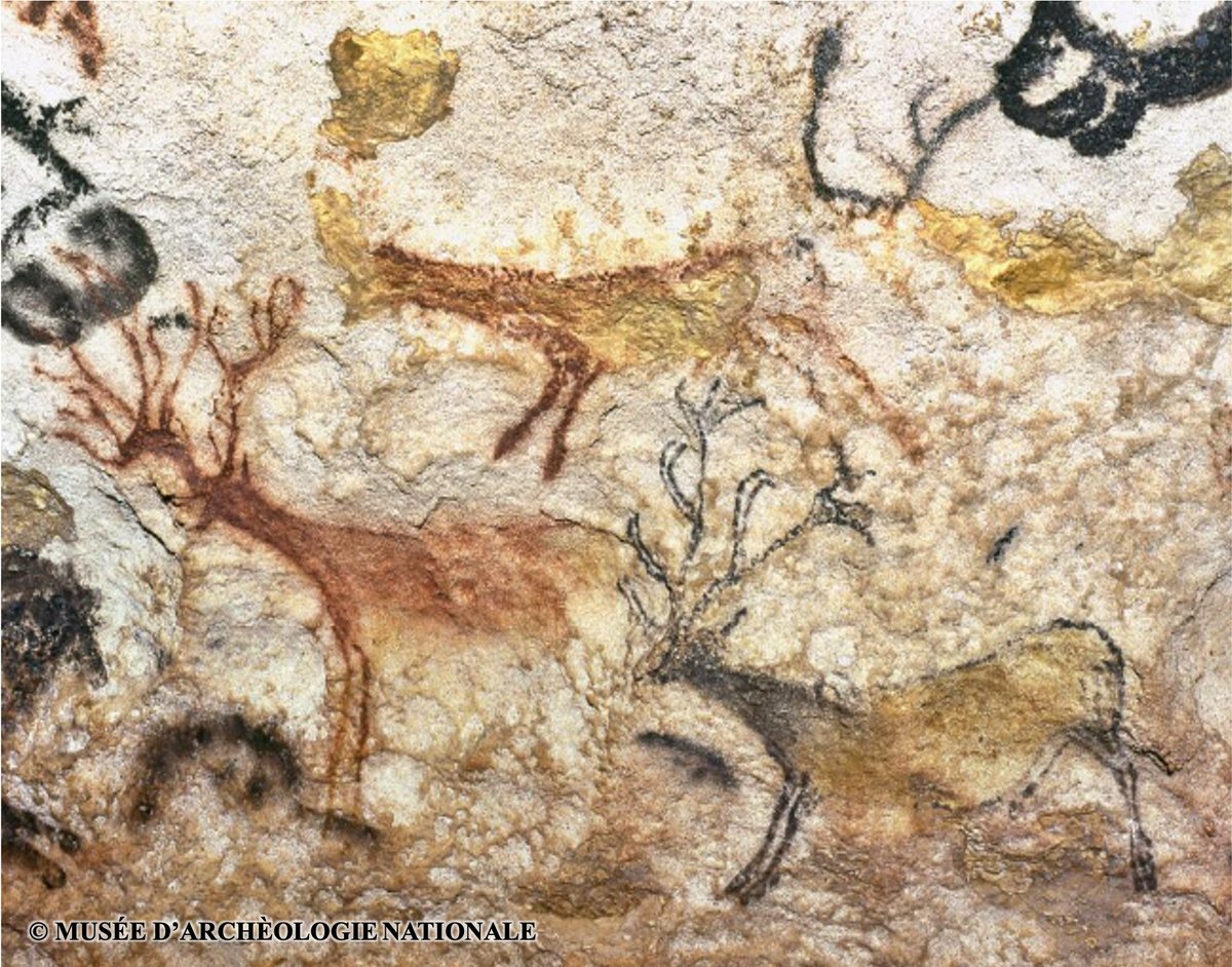 El ciervo aparece frecuentemente en los grandes conjuntos rupestres y posibles lugares de agrupación social como Altamira, Candamo o Lascaux . En este último lugar, el ciervo se representa de una manera única en todo el arte paleolítico 