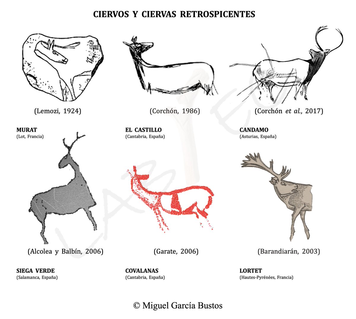 Aunque no es algo exclusivo de este animal, son numerosas las representaciones de ciervos y ciervas «retrospicentes»; es decir, mirando hacia atrás , así como en «visión frontal», mirando al espectador 