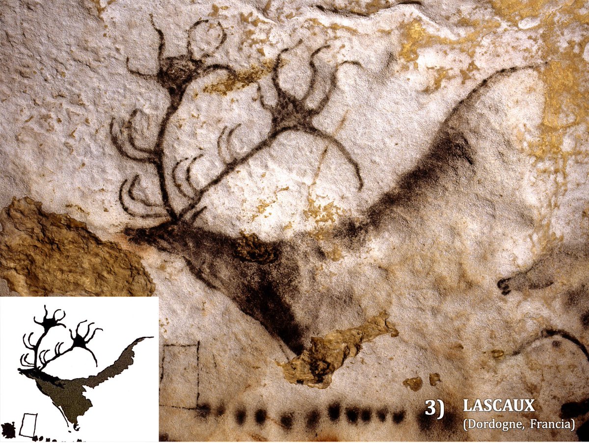 ¡Ahora es tu turno! Cada miembro del Labtec ha seleccionado su ciervo/a favorito/a, ¿cuál prefieres tú? También puedes dejarnos qué otros ejemplares son vuestros preferidos  