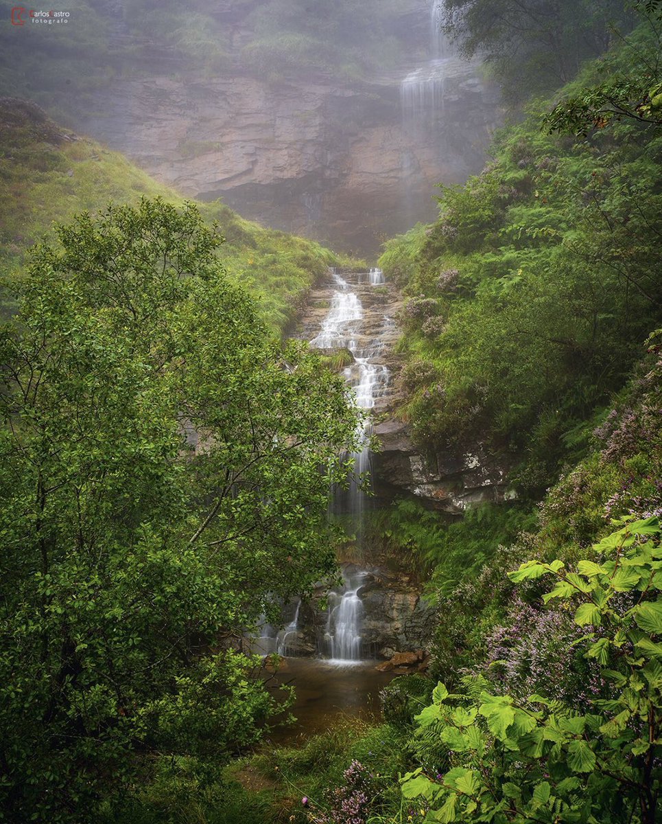 Postureo_CANT's tweet photo. Difícil no enamorarse de Cantabria 💚

📍 Cascada del Río Yera (Vega de Pas)

📷 @Carloscastro_82 https://t.co/J1P89DWqvU