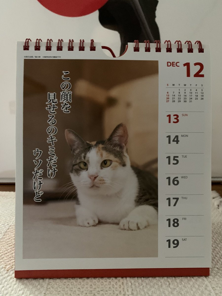 猫川柳カレンダー