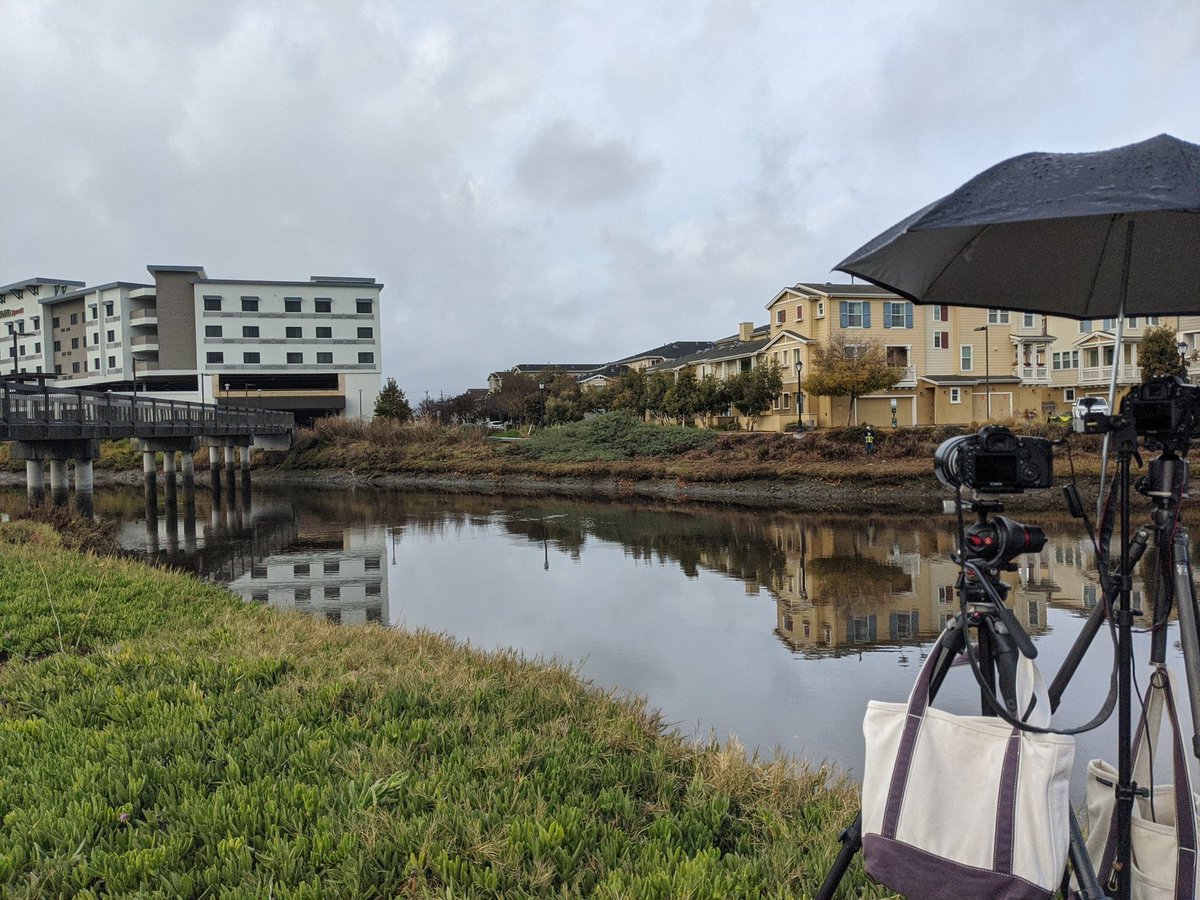 seetskumar's tweet photo. @DavidSacerdote1 @svsunrise About halfway between high and low now! #KingTide https://t.co/rGhA3uUBpx