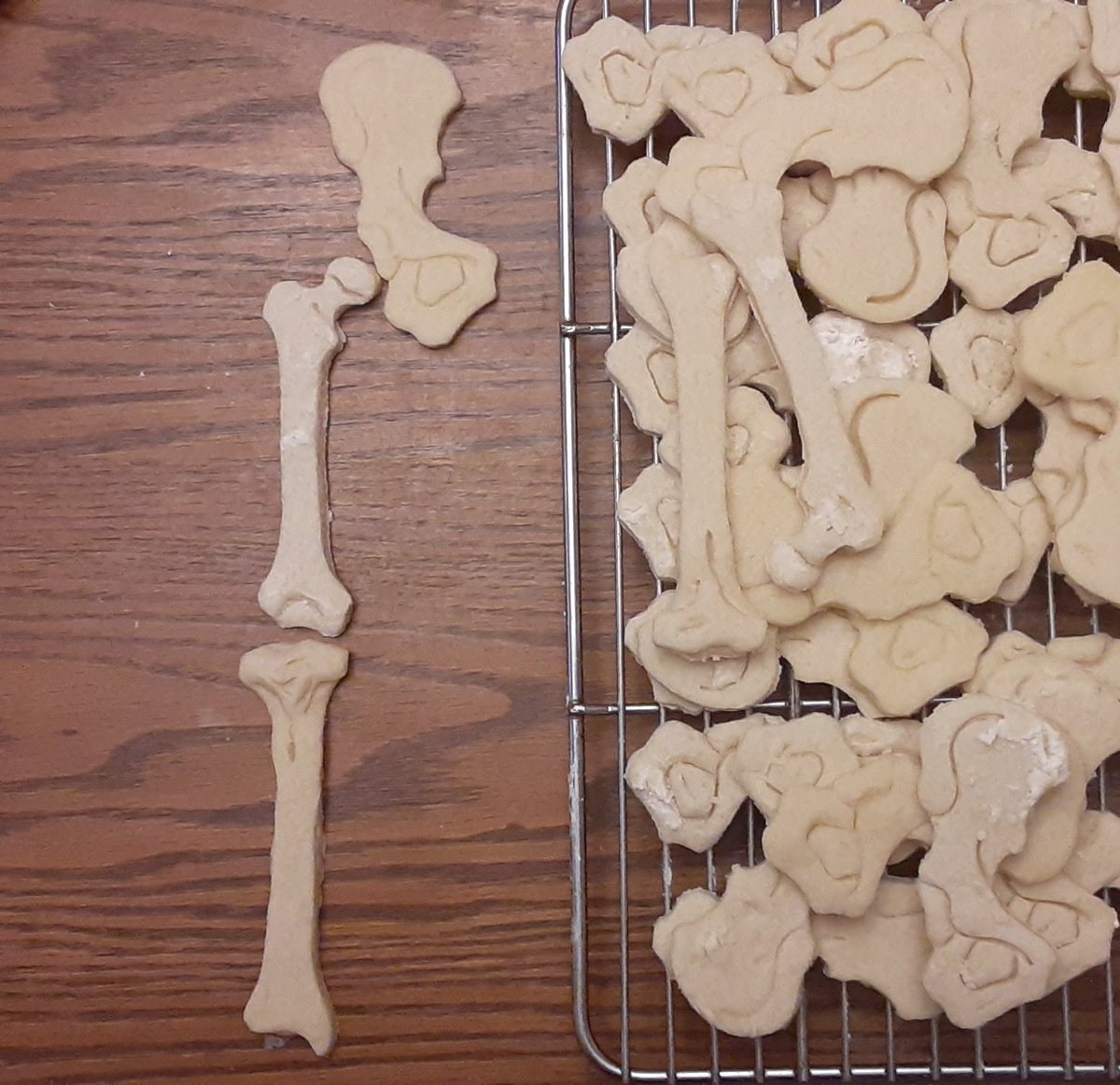 When the A&amp;P teacher bakes Christmas cookies.  #itsgoingtibiaok  #Christmas <a href="/Kaitlin58302318/">Kaitlin Wilson</a> <a href="/JTHSBrigadettes/">JTHS Brigadettes</a> <a href="/JDSimmsOfETX/">Justin Simmons</a> <a href="/ClaudiaV579/">Claudia Viramontes</a> <a href="/ClaudeMLane/">Claude Lane</a>