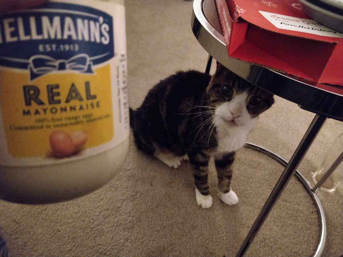 BrumwellJasper's tweet photo. Mayonnaise ❤️ 

@Hellmanns #Mayonnaise https://t.co/6qIo2rnbRq