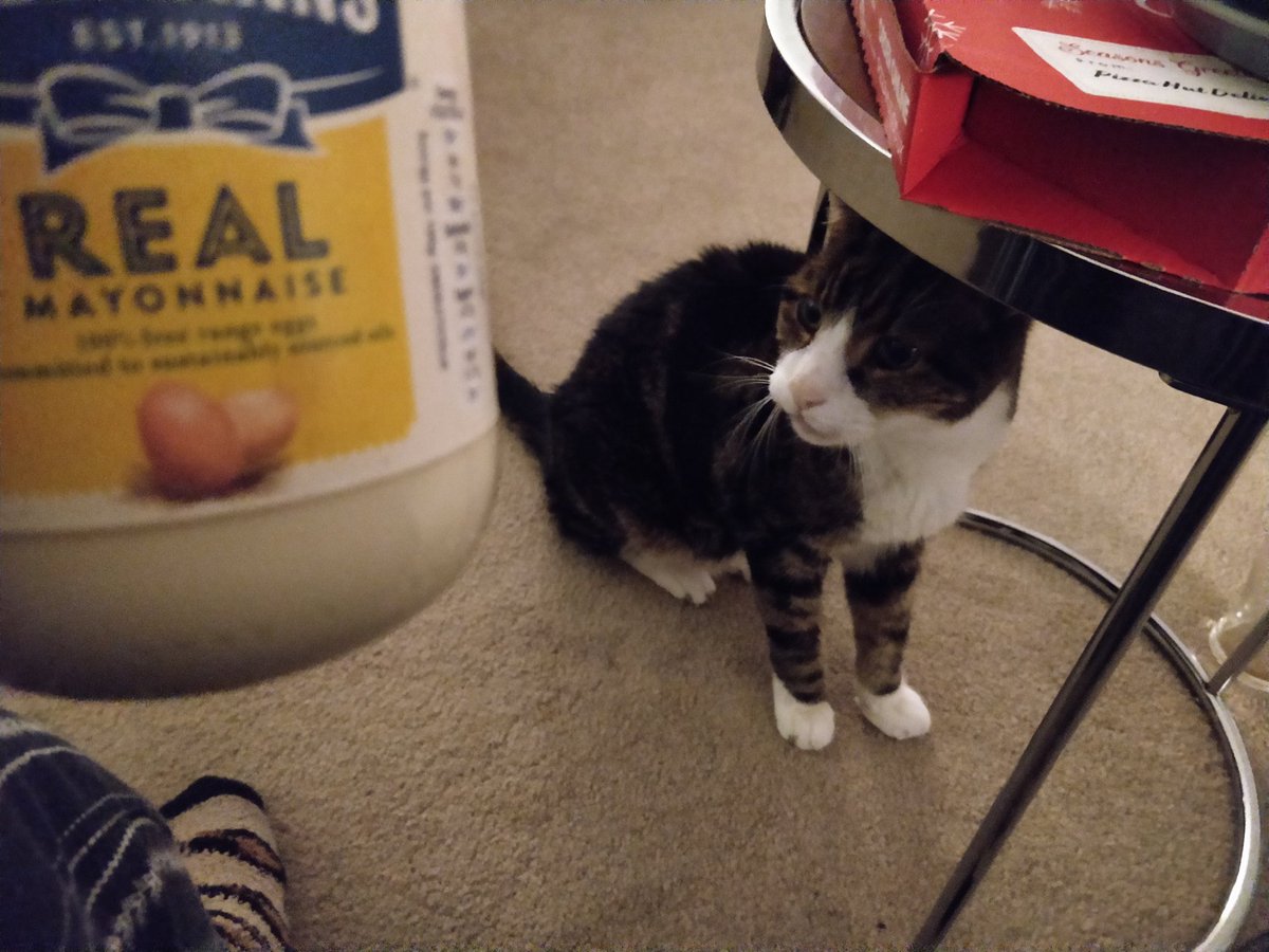 BrumwellJasper's tweet photo. Mayonnaise ❤️ 

@Hellmanns #Mayonnaise https://t.co/6qIo2rnbRq
