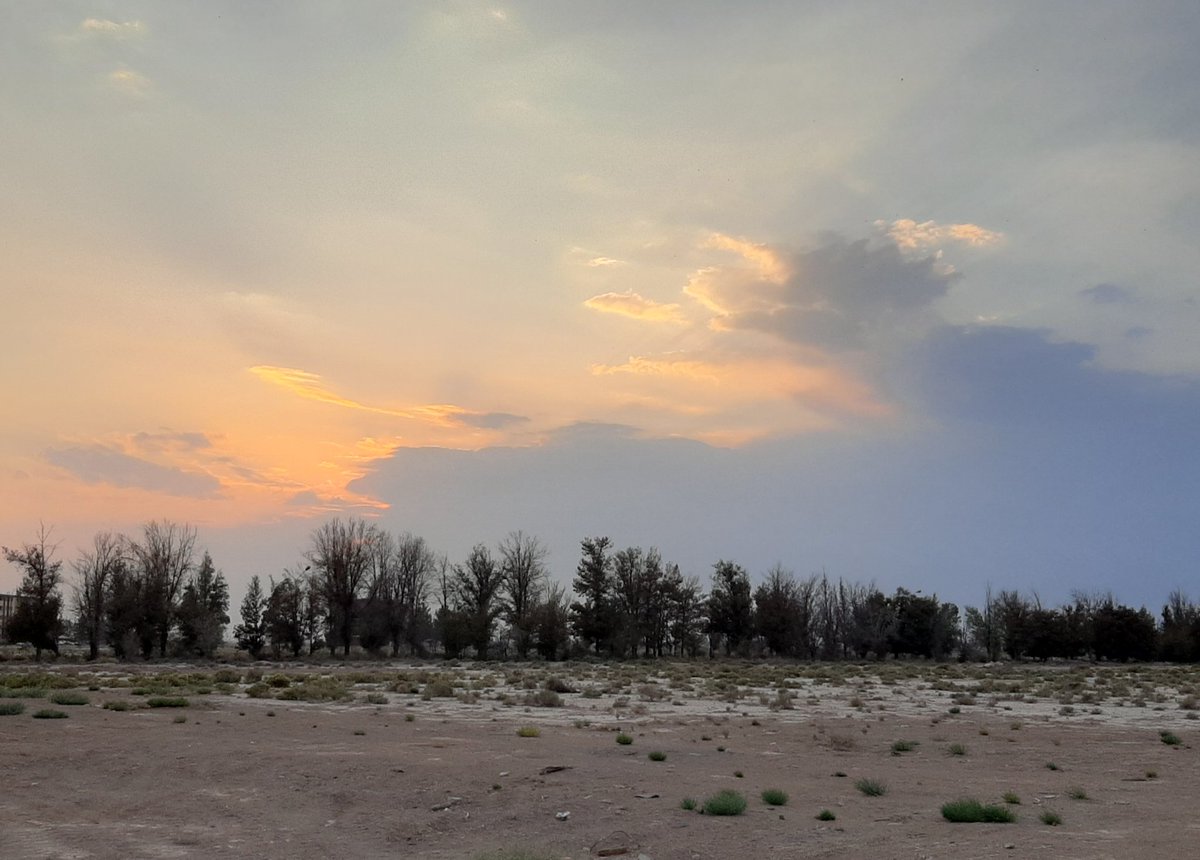 alifeb19's tweet photo. 🌃Tonight, A beautiful #cloudyweather and #sunset happened.
🌥🌥🌥🌥🌥🌥🌥🌥🌥🌥🌥🌥
#TONIGHT #nightphotography #night #beautiful #cloudysky #sunset_pics #sunset_veiw #view #bestview #sky #skyphotography #SundayFunday #viewsunset #viewsky #Weather #beautifulweather #غروب https://t.co/yyvcrFfHZj